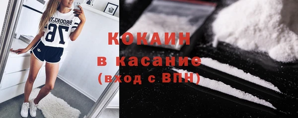 шишки Абаза
