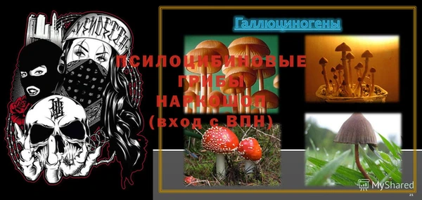 а пвп мука Алзамай